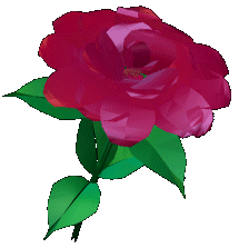 rose2.gif (15114 Byte)