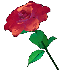 rose3.gif (13737 Byte)